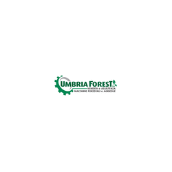 Logo di UMBRIA FOREST