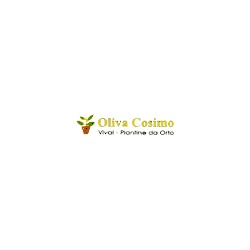 Logo di VIVAI OLIVA COSIMO
