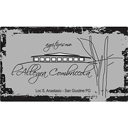 Logo di L'ALLEGRA COMBRICCOLA