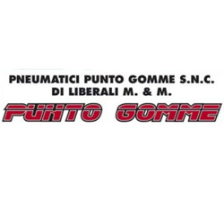 Logo di PUNTO GOMME