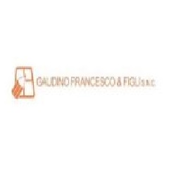 Logo di GAUDINO FRANCESCO