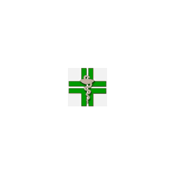 Logo di FARMACIA BARDUCCI