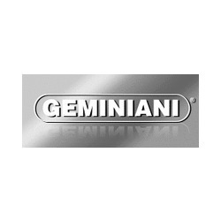 Logo di GEMINIANI SPA
