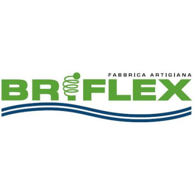 Logo di BRIFLEX