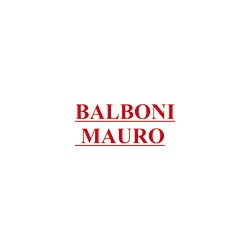 Logo di BALBONI MAURO DI ALESSIO BALBONI - ANTENNE TV E SISTEMI DI ALLARME