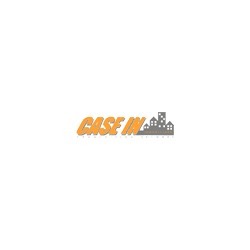 Logo di CASE IN