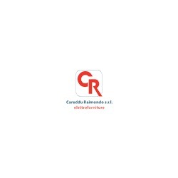 Logo di CAREDDU RAIMONDO