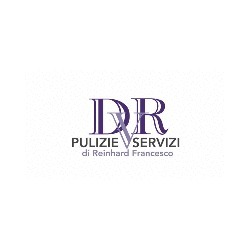 Logo di DVR PULIZIE E SERVIZI