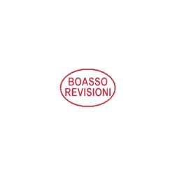 Logo di BOASSO REVISIONI