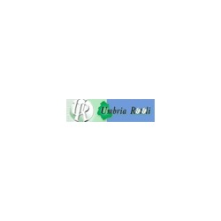 Logo di UMBRIA ROTOLI