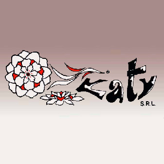 Logo di KATY ACCESSORI MODA