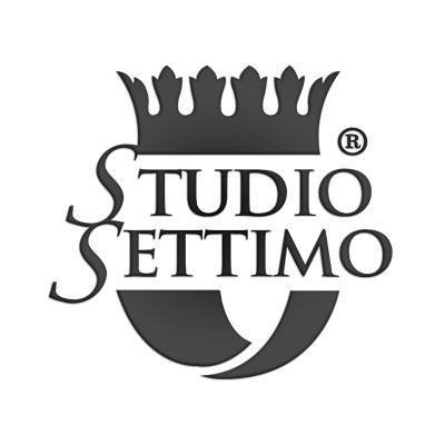 Logo di STUDIO SETTIMO PATRONATO CAF