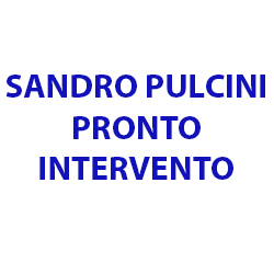 Logo di SANDRO PULCINI