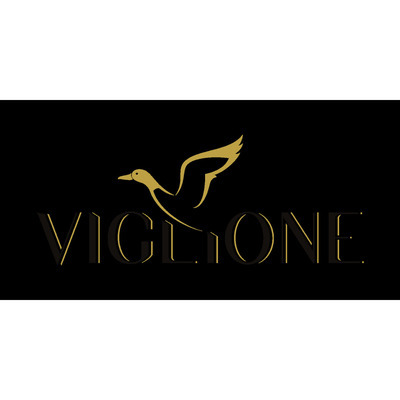 Logo di AZIENDA VINICOLA VIGLIONE
