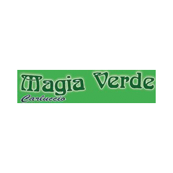 Logo di AGENZIA FUNEBRE CARLUCCIO - MAGIA VERDE