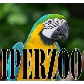 Logo di IPERZOO