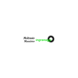 Logo di MOLTRASIO MASSIMO INGRANAGGI