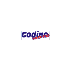 Logo di GODINO MOTO