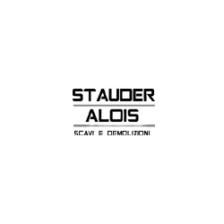 Logo di STAUDER ALOIS