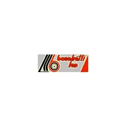 Logo di BOSCHETTI LEO