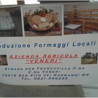 Logo di AZIENDA AGRICOLA MASSERIA VENERI