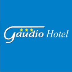 Logo di HOTEL GAUDIO