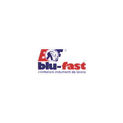 Logo di BLU-FAST