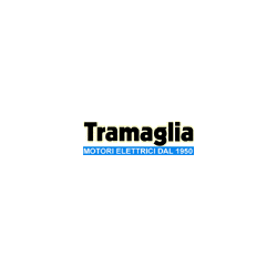Logo di TRAMAGLIA RENATO E C. MOTORI ELETTRICI DAL 1950
