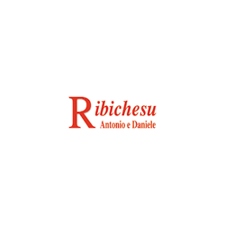 Logo di TAPPEZZERIA RIBICHESU ANTONIO & DANIELE