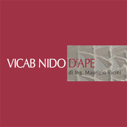 Logo di VICAB NIDO D'APE