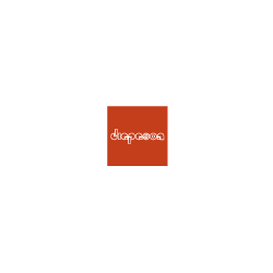 Logo di DIAPASON MUSIC POINT