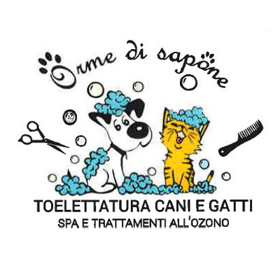 Logo di ORME DI SAPONE