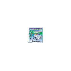 Logo di AUTONOLEGGIO SALANO
