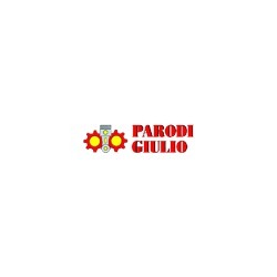 Logo di PARODI GIULIO SAS