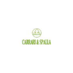 Logo di CARRARI E SPALLA RADIATORI