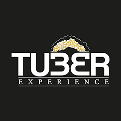 Logo di TUBER EXPERIENCE