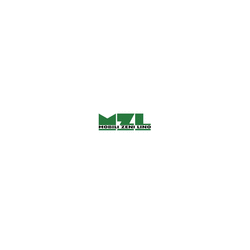 Logo di MOBILI ZENI LINO