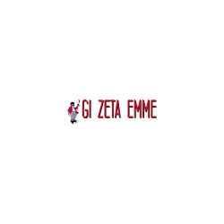 Logo di TINTEGGIATURE GI.ZETA.EMME