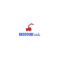 Logo di BRICCOLANI