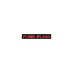 Logo di PUBBLIFLASH