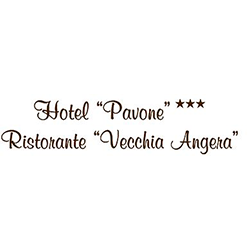 Logo di HOTEL PAVONE
