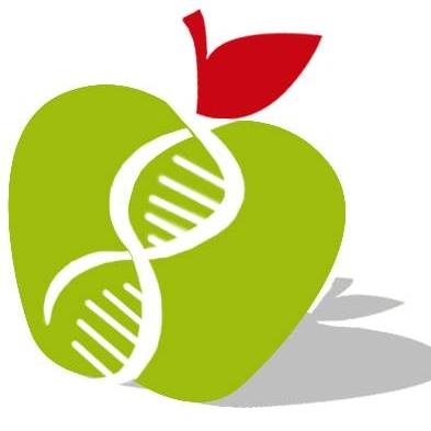 Logo di MANGIA SANO E VIVI IN SALUTE - DOTTORESSE BALDINI FRANCESCA & ERIKA SICILIA