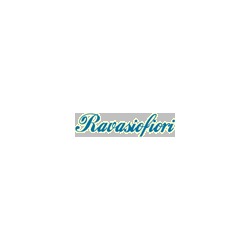 Logo di RAVASIO F.LLI
