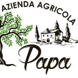 Logo di TRATTORIA PAPA