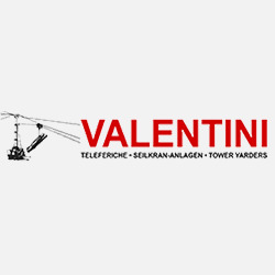 Logo di VALENTINI