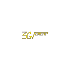 Logo di 3 G VENETA