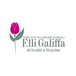 Logo di FIORI F.LLI GALIFFA