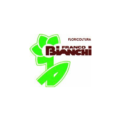 Logo di FLORICOLTURA BIANCHI FRANCO E FIGLI