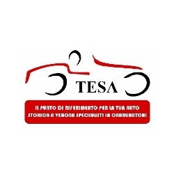 Logo di AUTOFFICINA TESA