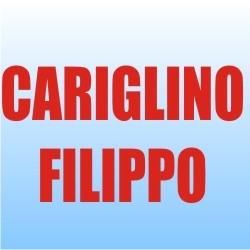 Logo di FIORI E PIANTE, ADDOBBI FLOREALI CARIGLINO FILIPPO